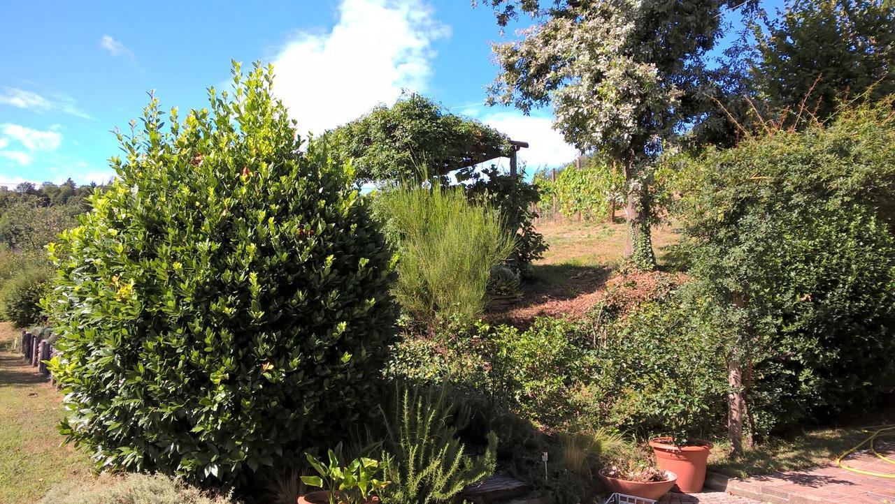 Sotto La Luna Bruna B&B Cocconato Exterior foto